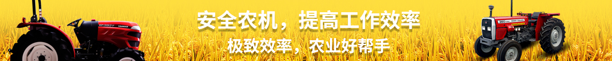 描述